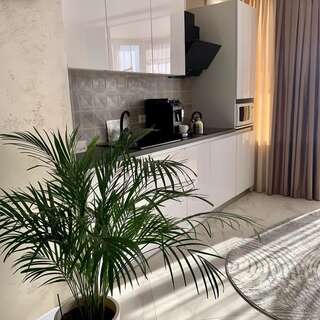 Апартаменты Apartment Panorama Сумы Апартаменты-15